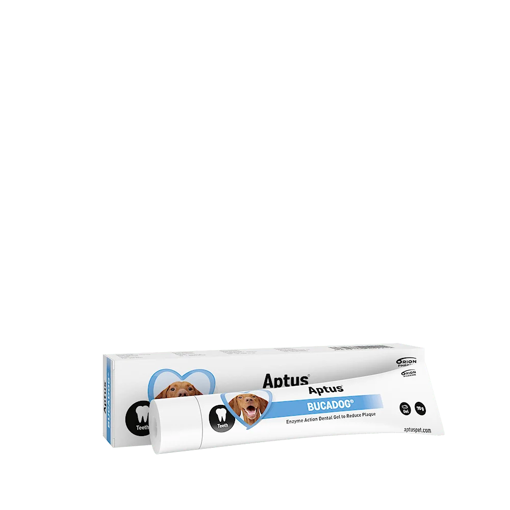 Aptus Bucadog Pasta – 70g v:7478564 Aptus Bucadog Pasta – 70g v:7478564