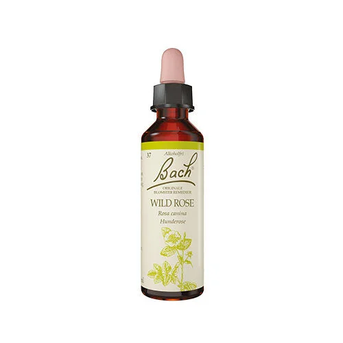 Bach Originale Blomsterremedier | Hunderose v:6654783 Bach Originale Blomsterremedier | Hunderose v:6654783